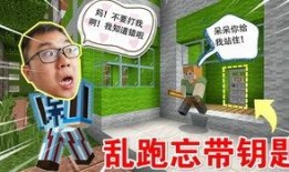 烦人的村民最新版爆料,揭秘烦人事件背后的惊人真相